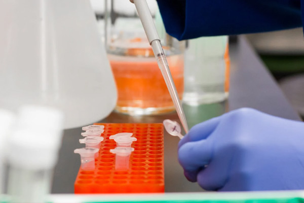 ������֤��ʵ���Ҽ����